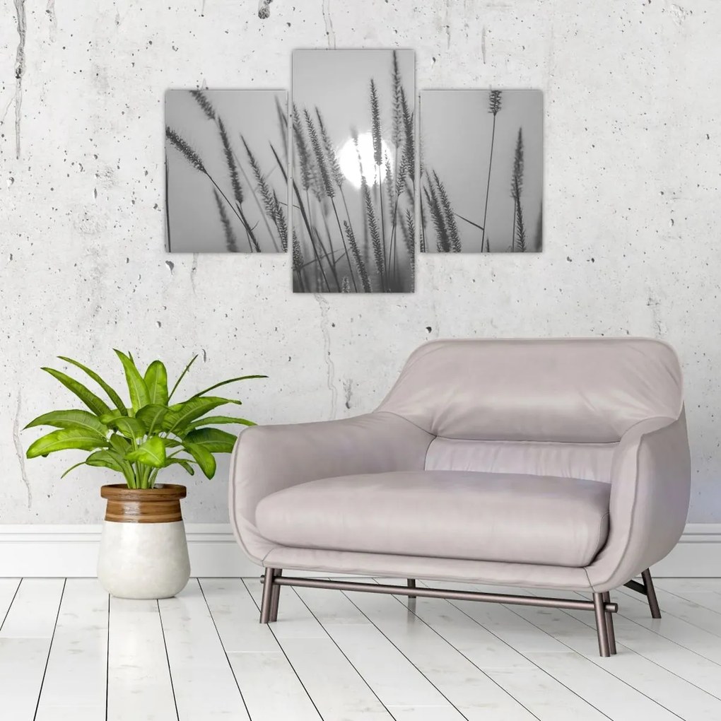 Obraz - Lúka pri západe slnka (90x60 cm)