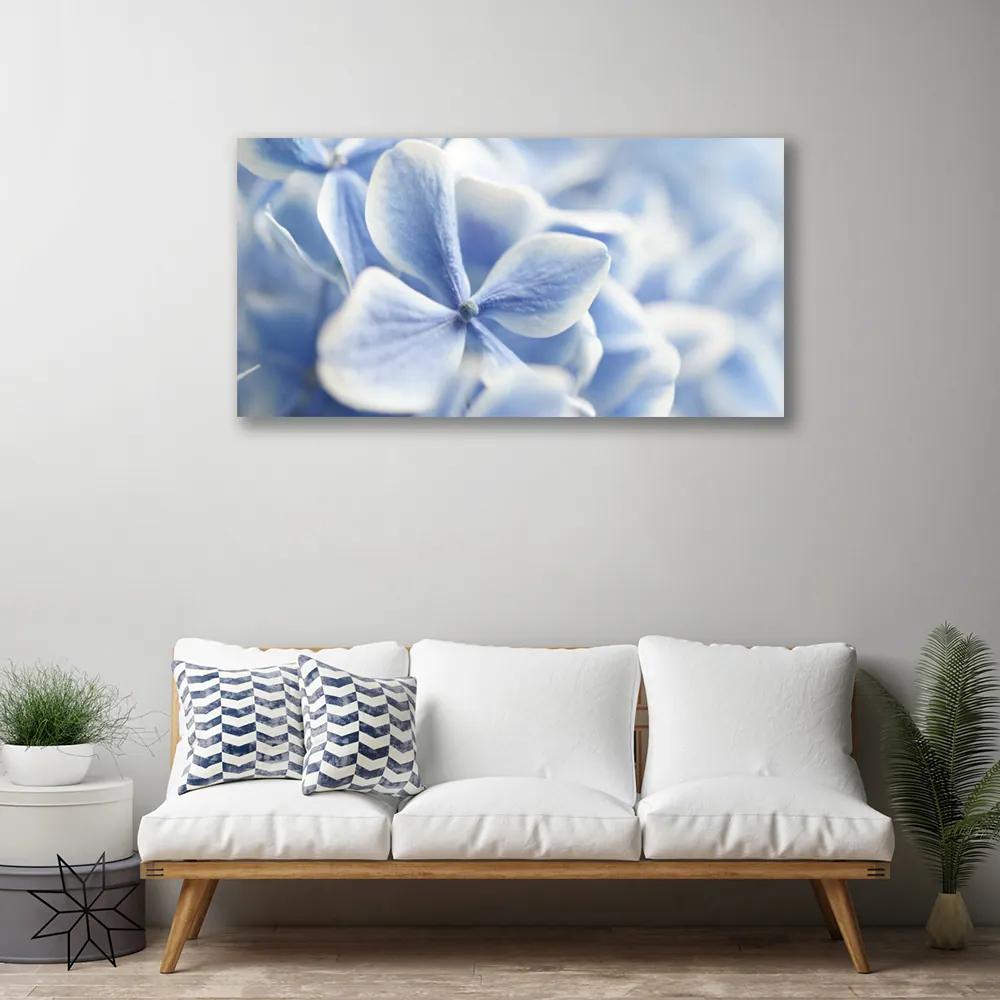 Obraz Canvas Kvety plátky príroda 120x60 cm