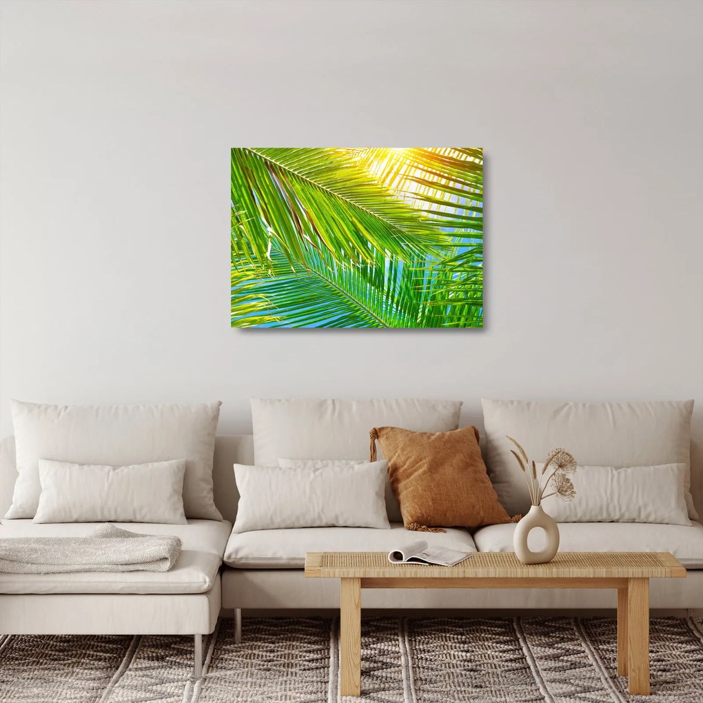 Sklenený obraz - Palmové listy (70x50 cm)