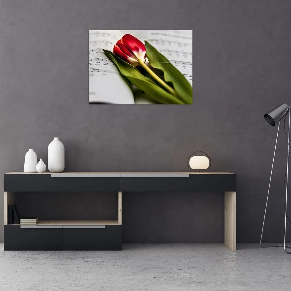 Sklenený obraz červeného tulipánu (70x50 cm)