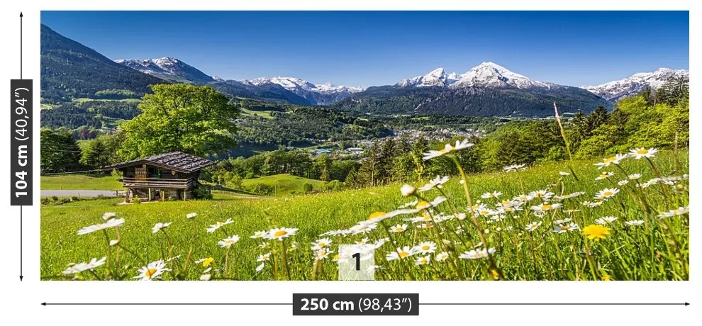 Fototapeta Vliesová Bavorsko hory 208x146 cm
