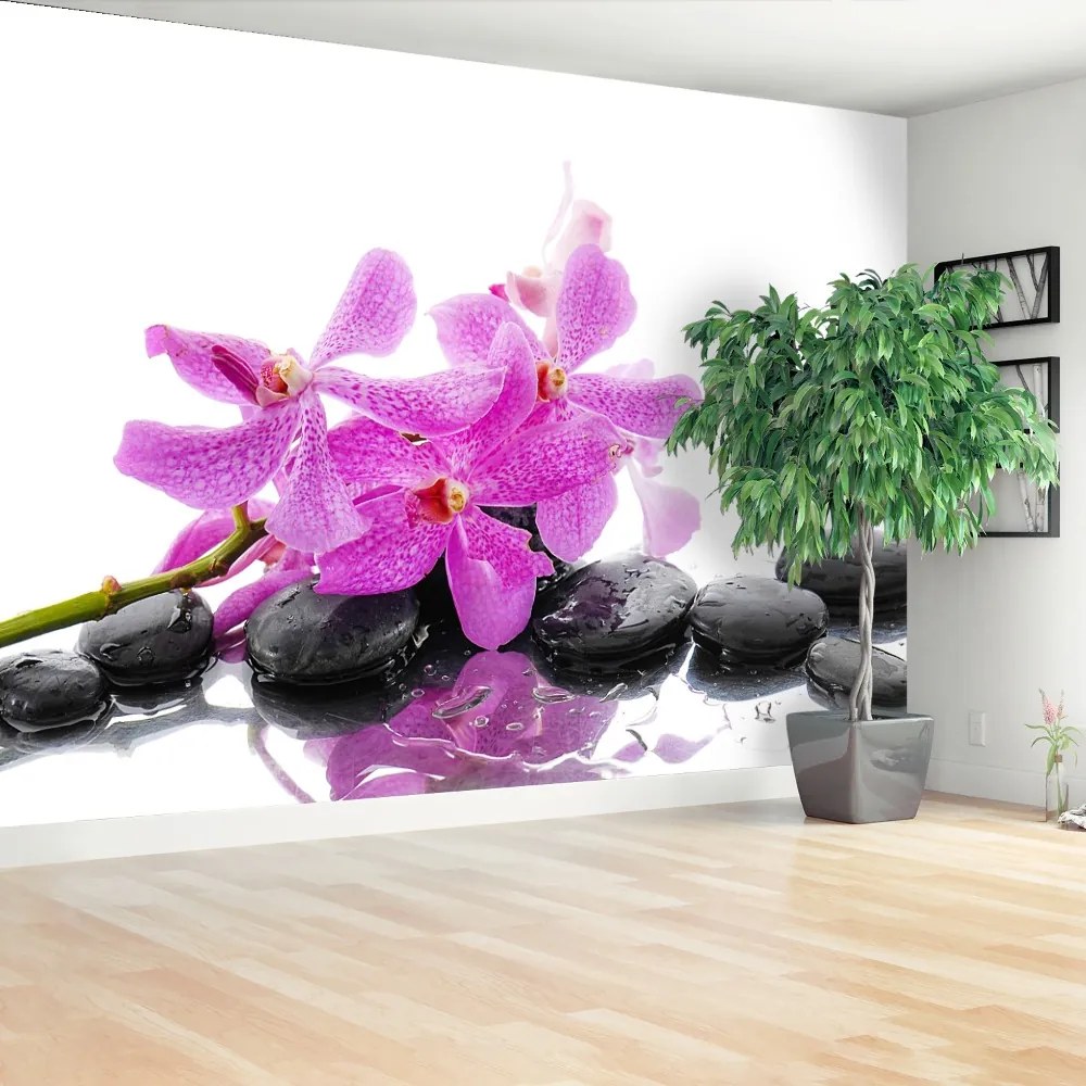 Fototapeta Vliesová Ružová orchidea 208x146 cm