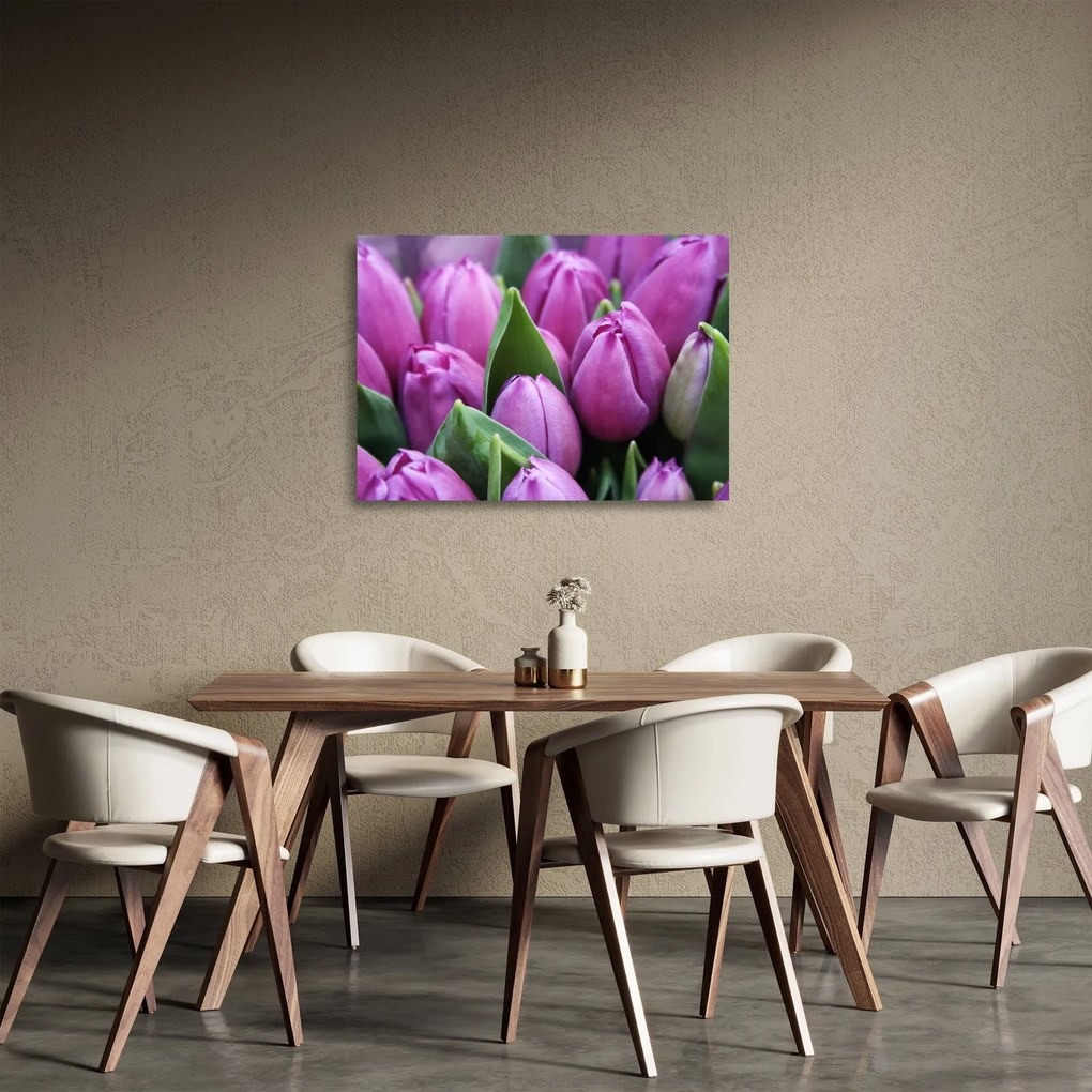Sklenený obraz - kvety tulipánov (70x50 cm)