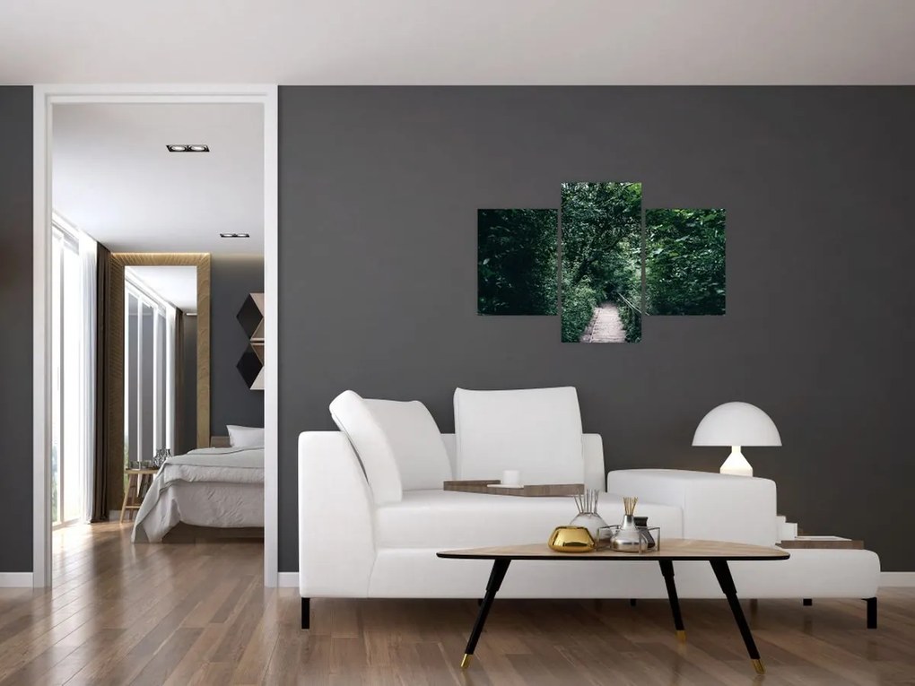 Obraz - Cesta lesom (90x60 cm)