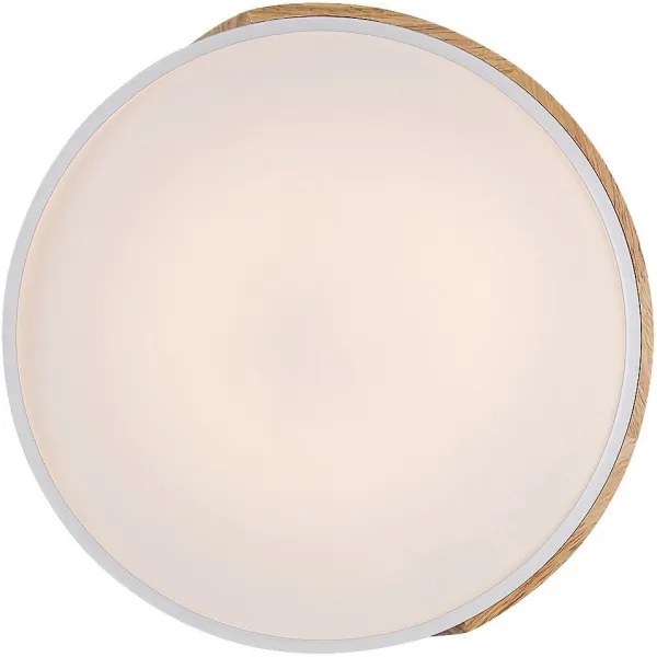 Rabalux 3527 - LED Stropné svietidlo MAPLE LED/24W/230V biela