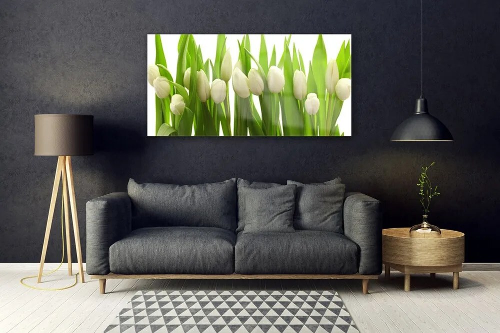 Obraz na akrylátovom skle Tulipány kvety rastlina 120x60 cm