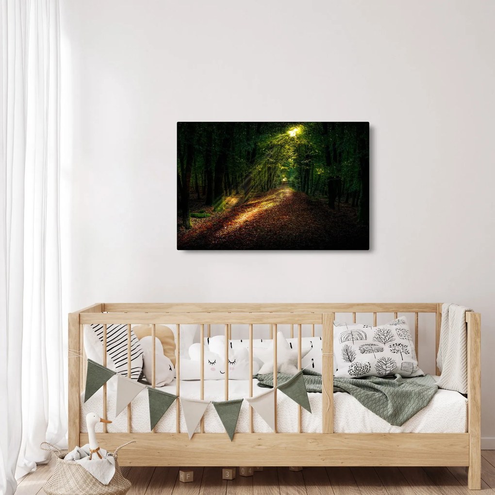 Obraz lesnej cesty (90x60 cm)