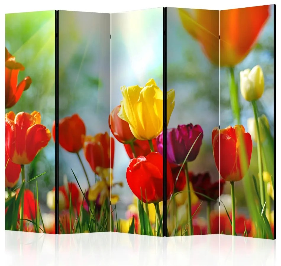 Artgeist Paraván - Spring Tulips II [Room Dividers]