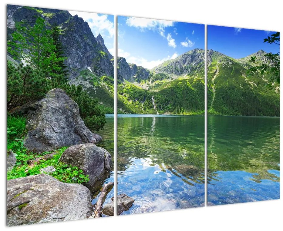 Obraz - horská príroda