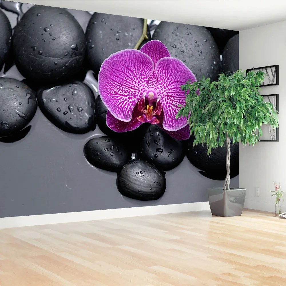 Fototapeta Vliesová Orchidea kamene 208x146 cm