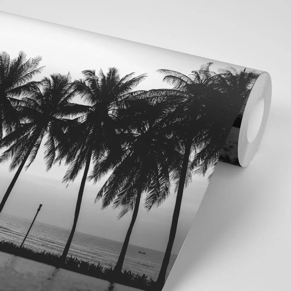 Samolepiaca tapeta západ slnka nad palmami v čiernobielom - 450x300