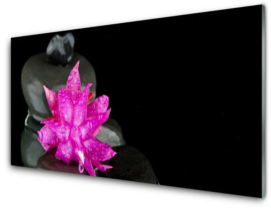 Obraz na akrylátovom skle Kvet kamene rastlina 140x70 cm