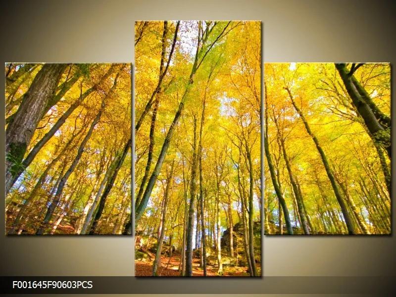 Obraz na plátne Jesenné les, 3 dielne 90x60cm 60,8 €
