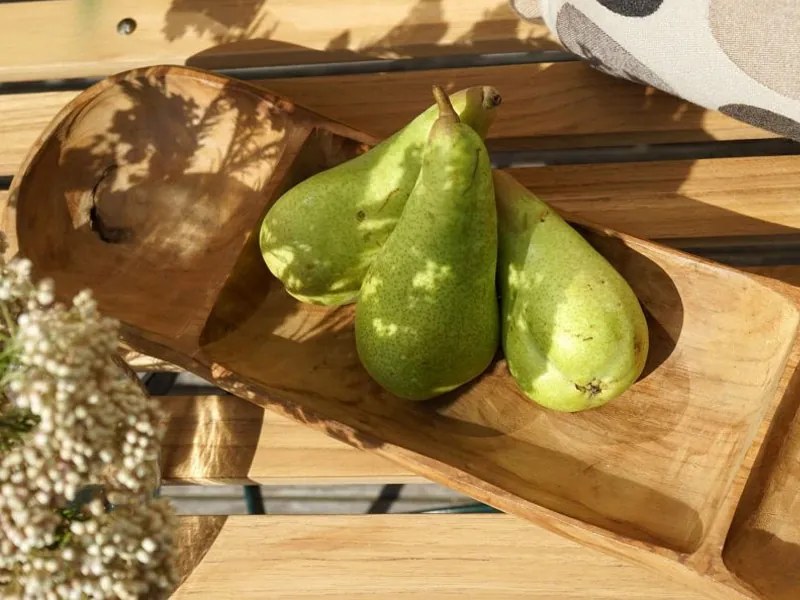 Teak 50 dekoratívna miska