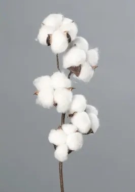 Umelá kvetina Bavlník 49 cm, biela%