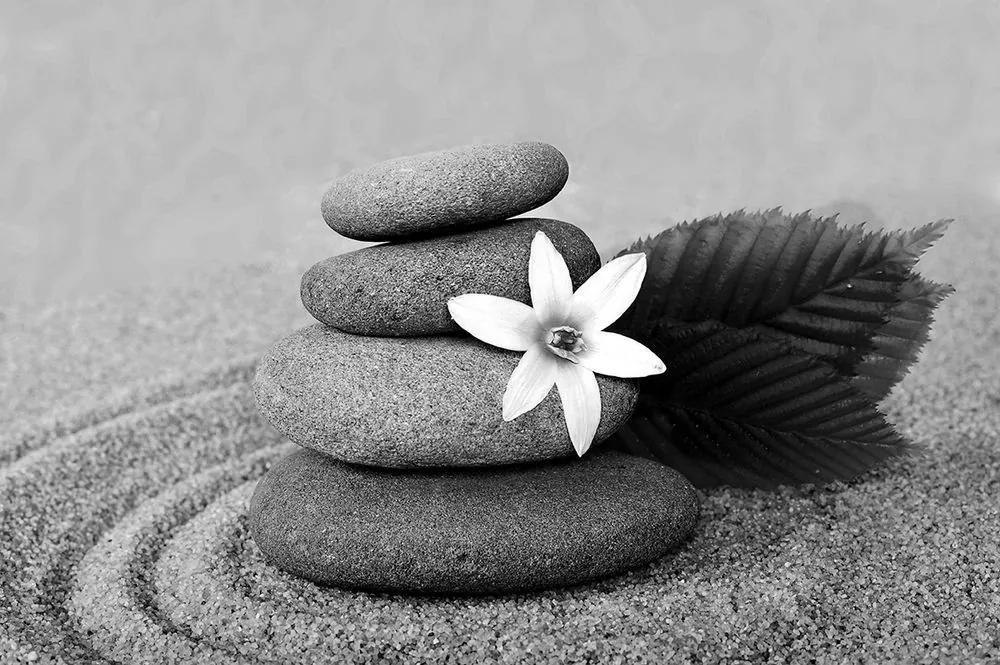 Samolepiaca fototapeta kvet so zen kameňmi v čiernobielom prevedení