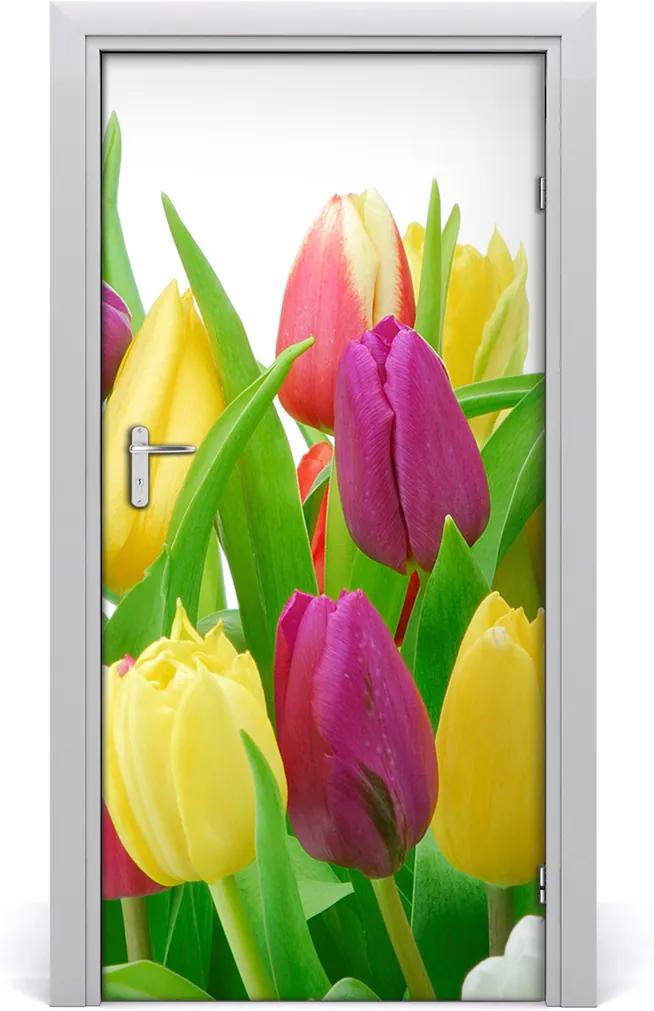 Fototapeta na dvere  kvety tulipány