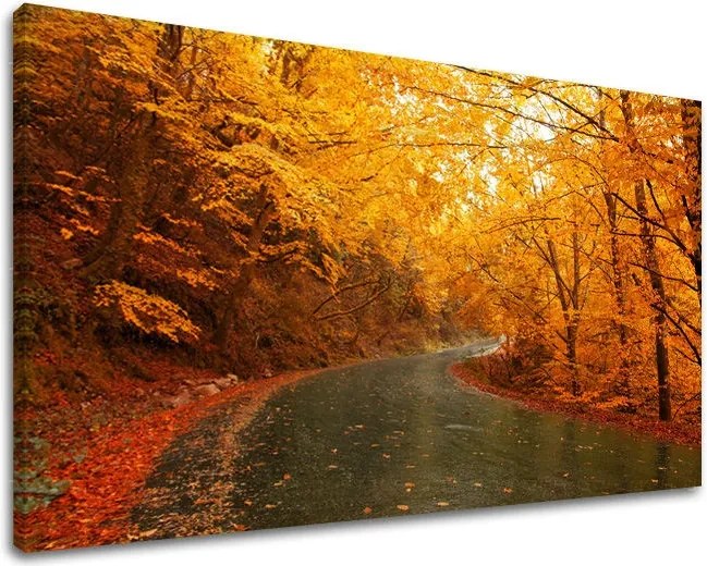 Obraz na stenu STROMY