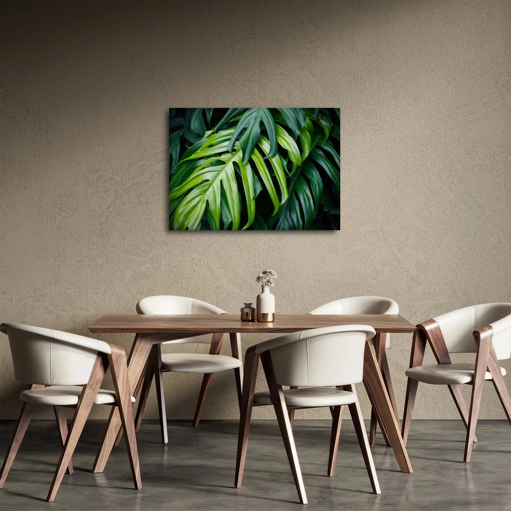 Obraz - Tropické listy (70x50 cm)