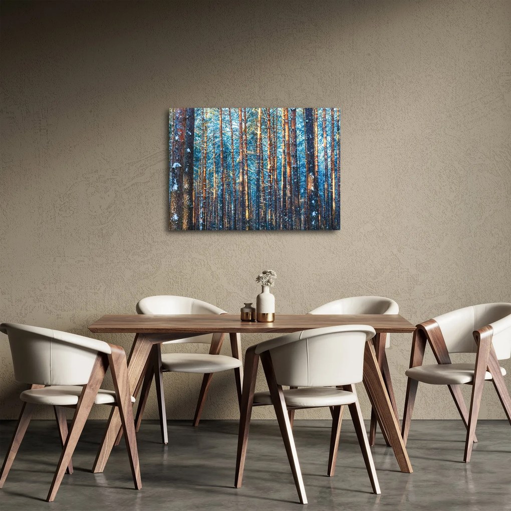 Obraz - Zimný les (70x50 cm)