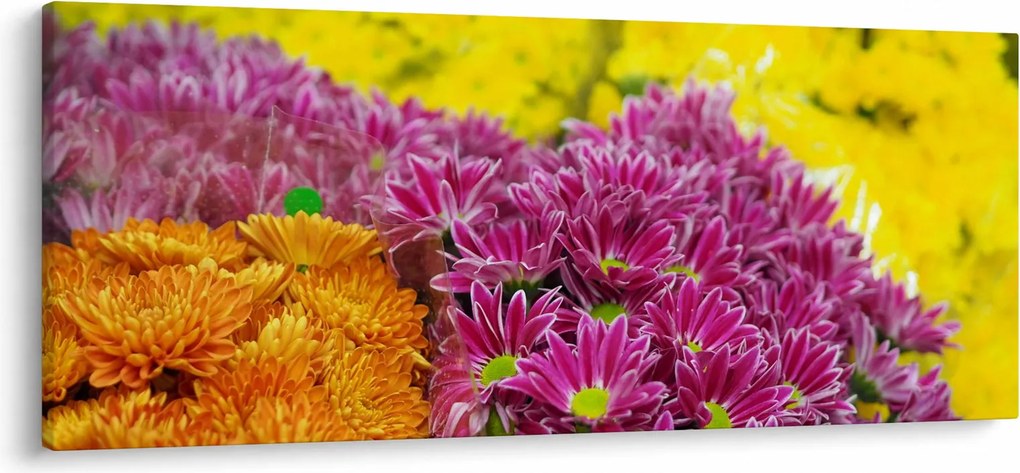 Obraz ružového kvetu (120x50 cm)