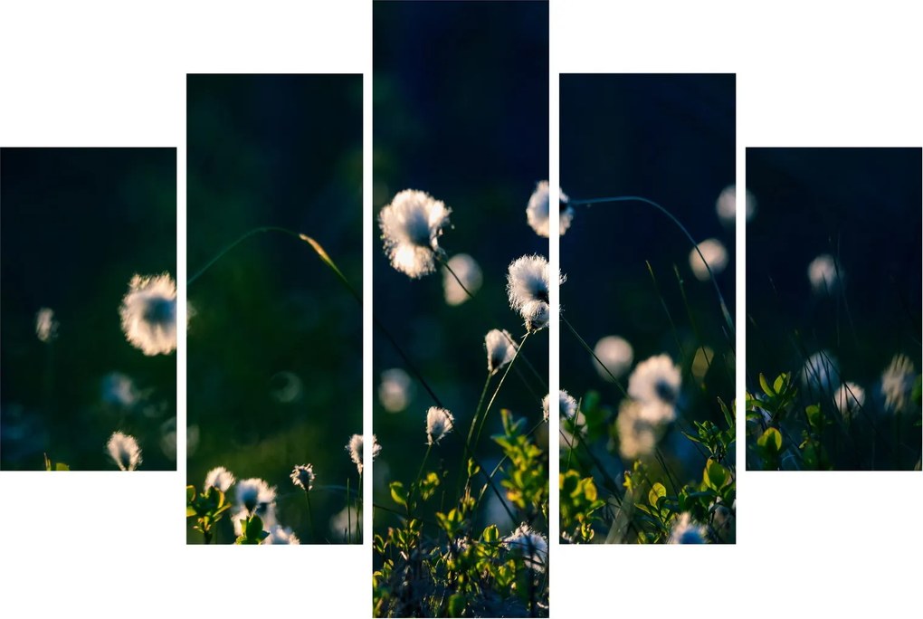 Obraz - Tráva (150x105 cm)