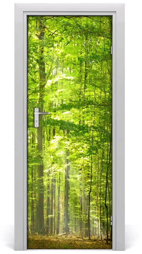 Fototapeta na dvere bukový les 75x205 cm