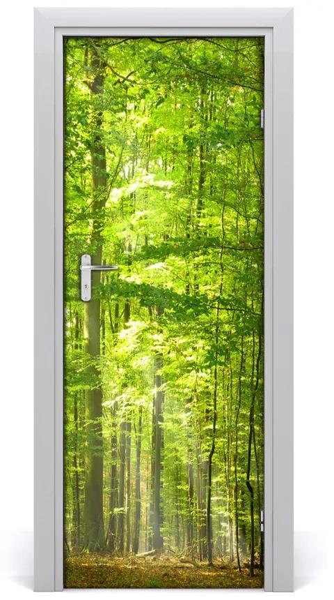 Fototapeta na dvere bukový les 85x205 cm