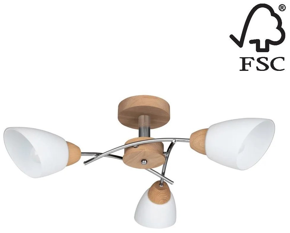 Spot-Light 8141374 - Prisadený luster VILETTA 3xE27/60W/230V