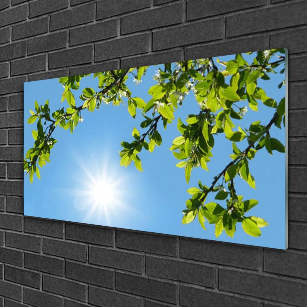 Obraz na skle Slnko príroda 125x50 cm
