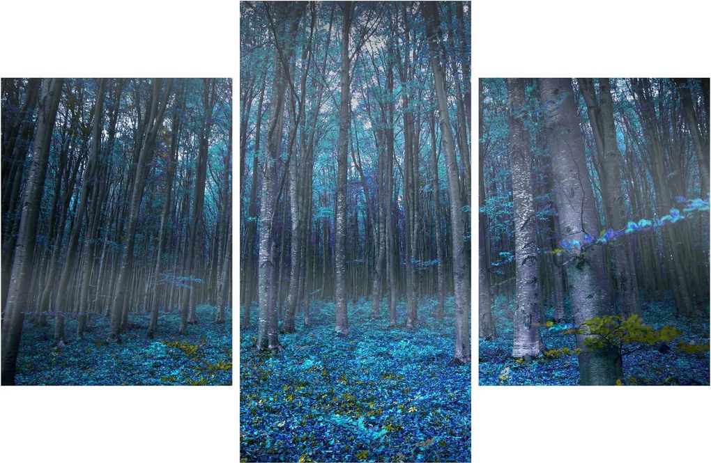 Obraz - Magický les (90x60 cm)