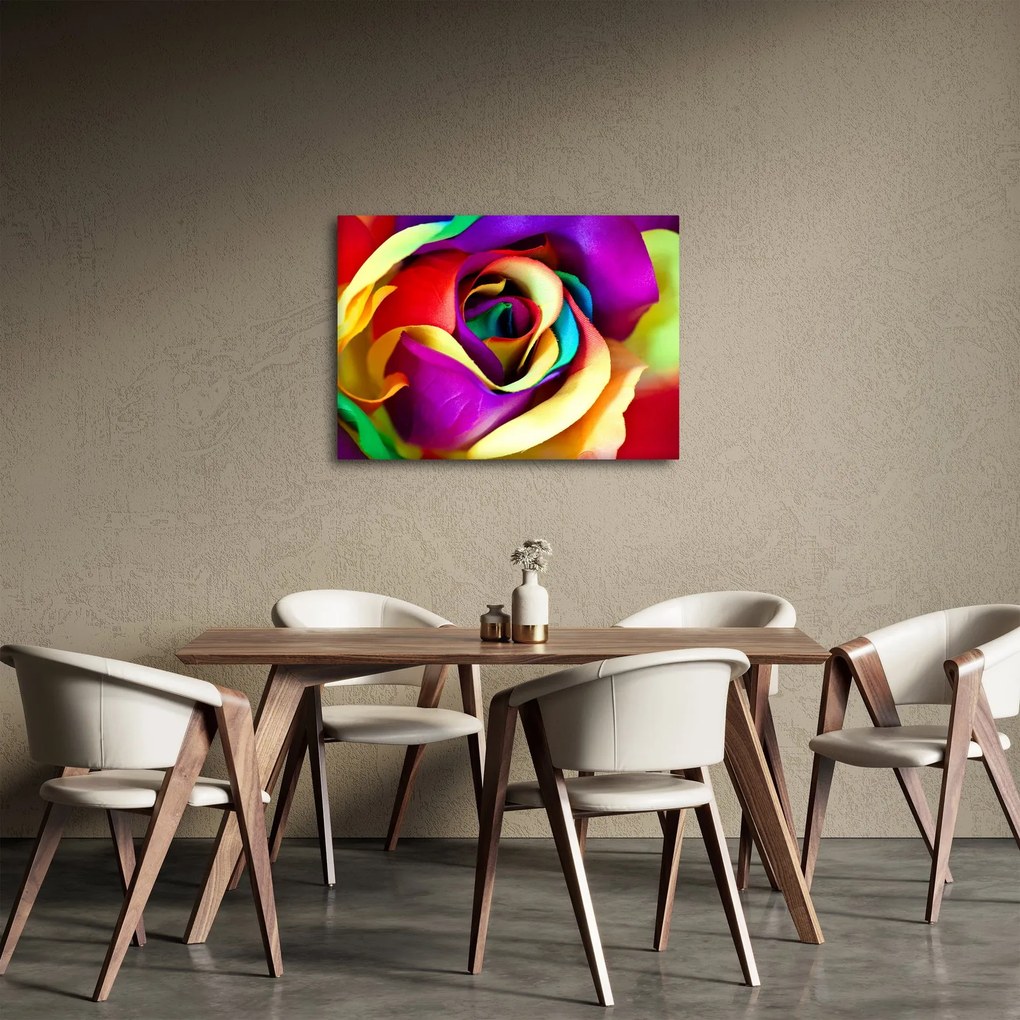 Obraz - Farebná ruža (70x50 cm)