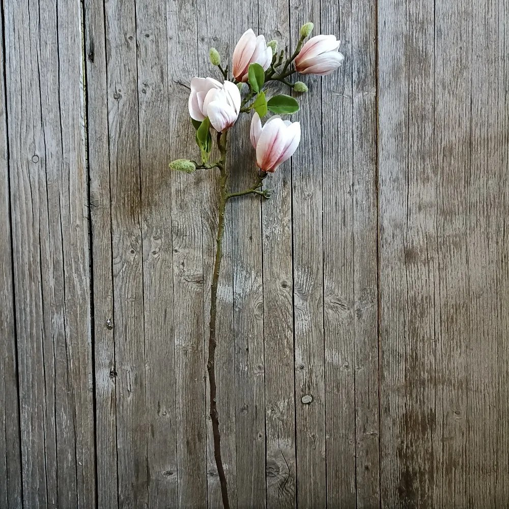 KONÁR MAGNÓLIA RUŽOVÁ 66CM