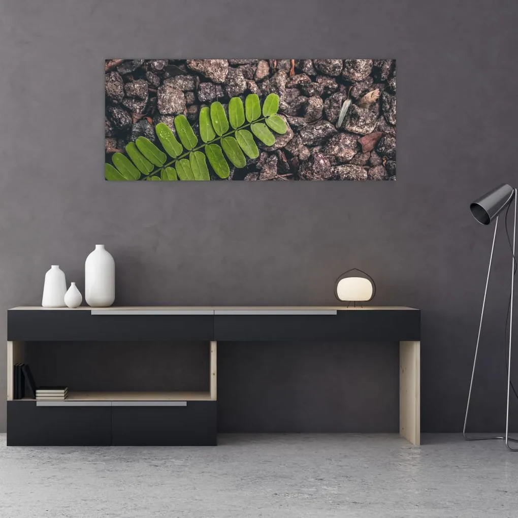 Obraz zelenej rastliny (120x50 cm)