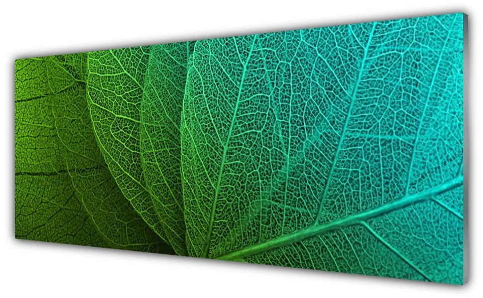 Obraz na akrylátovom skle Abstrakcie listy rastlina 125x50 cm