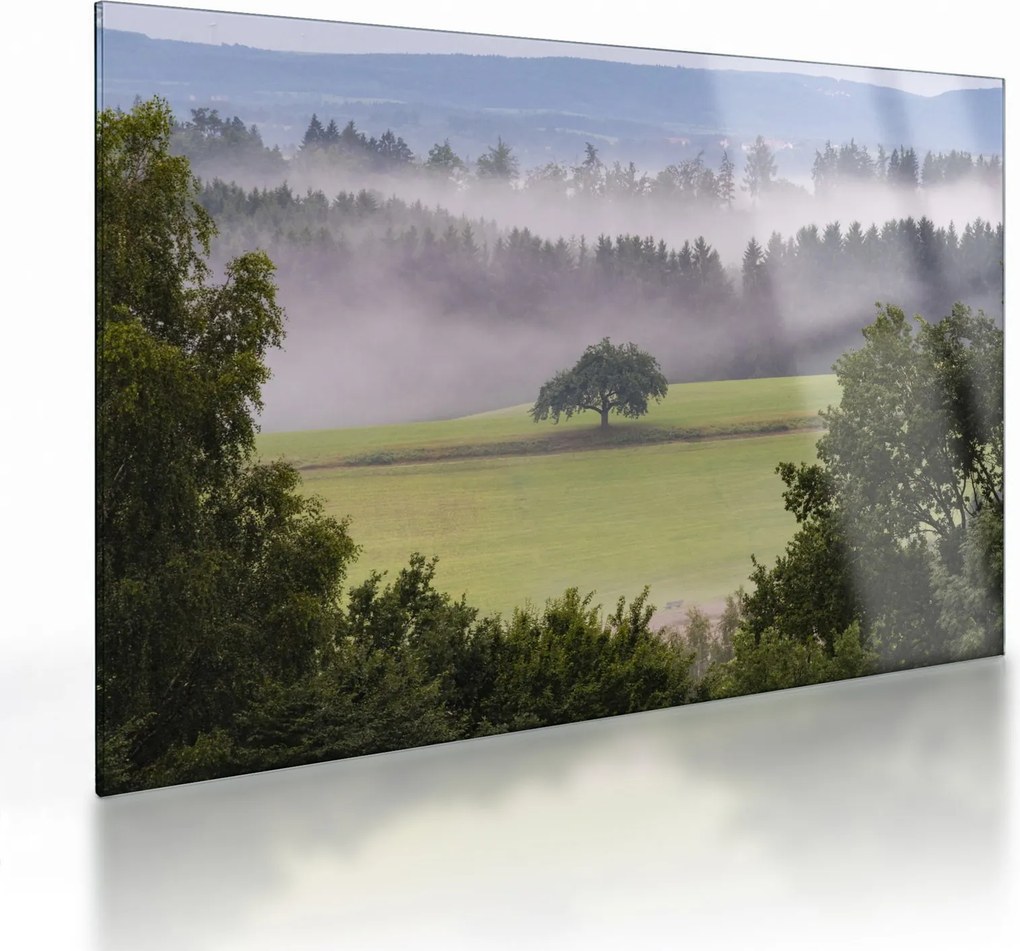 Sklenený obraz lúky so stromom (70x50 cm)
