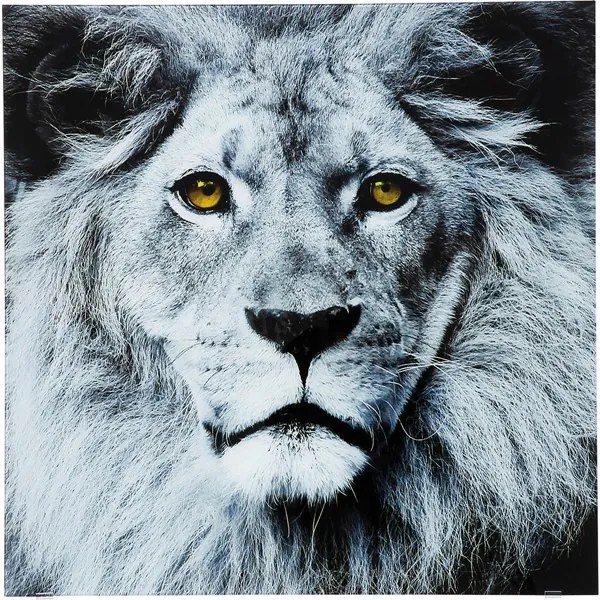 KARE DESIGN Sada 2 ks − Obraz na skle Face Lion 80 × 80 cm