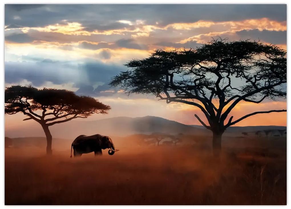Sklenený obraz - Národný park Serengeti, Tanzánia, Afrika (70x50 cm)