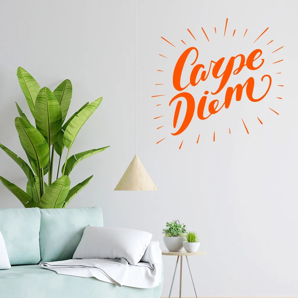 Veselá Stena Samolepka Carpe Diem (Užívaj dňa) Farba: modrá, Veľkosť: 100 x 100 cm