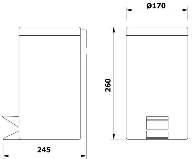 BISK Erga Basic, odpadkový kôš guľatý 3l, chrómová, ERG-02479