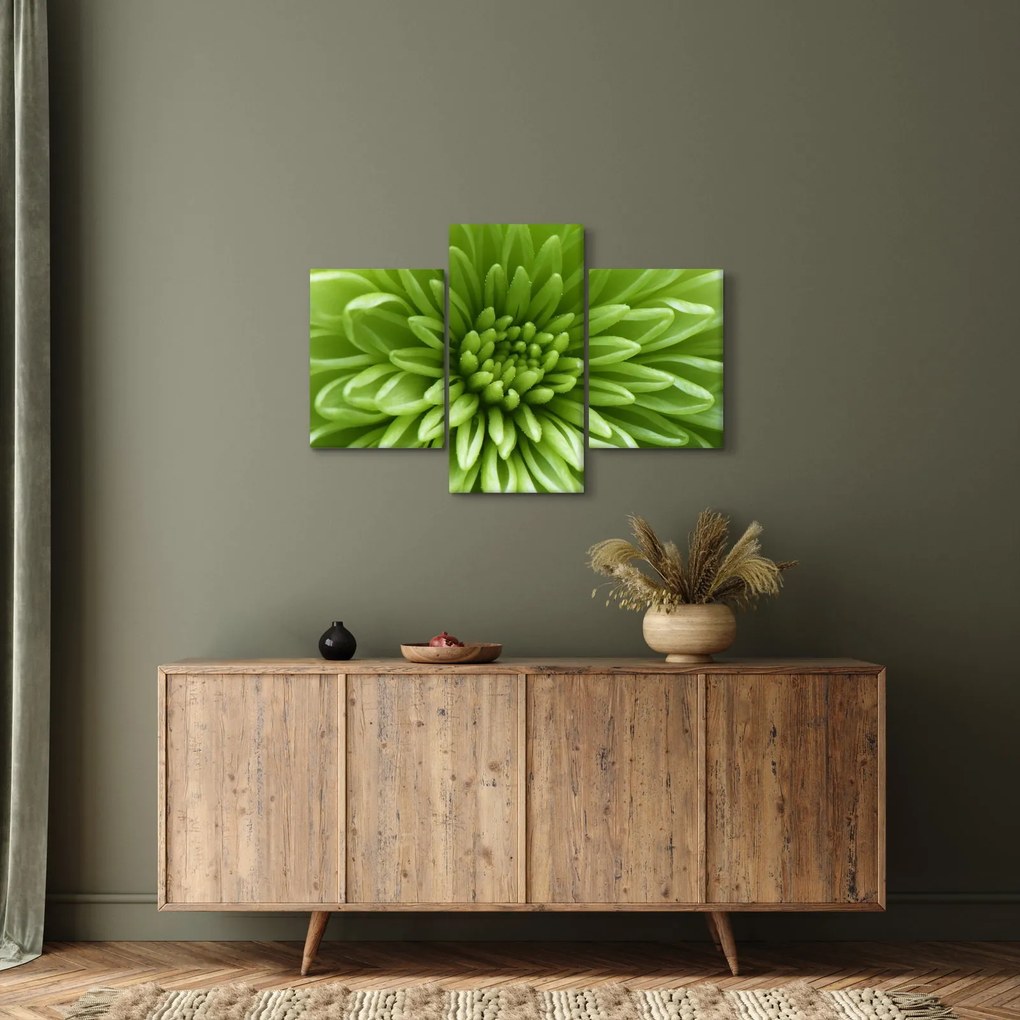 Obraz - Makro snímka rastliny (90x60 cm)