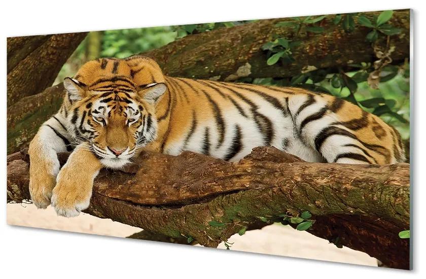 Sklenený obraz tiger tree 140x70 cm