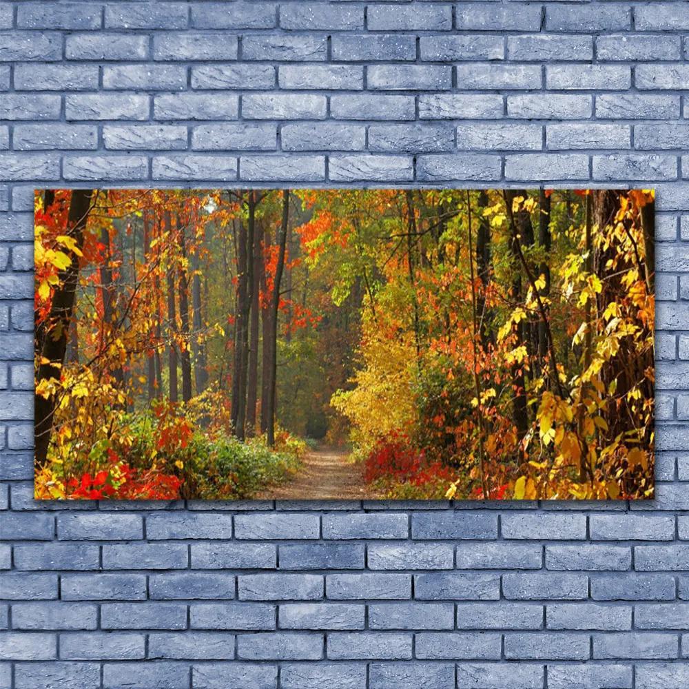 Obraz plexi Les príroda jeseň 120x60 cm