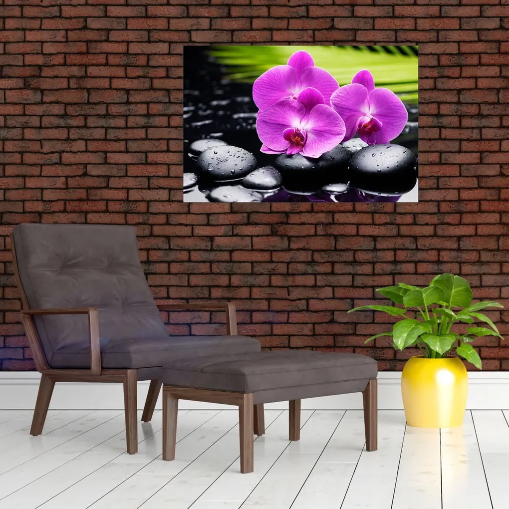 Obraz - Orchidey (90x60 cm)