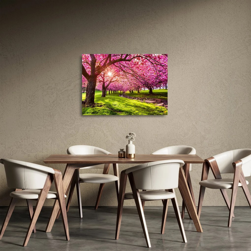 Sklenený obraz rozkvitnutých čerešní, Hurd Park, Dover, New Jersey (70x50 cm)