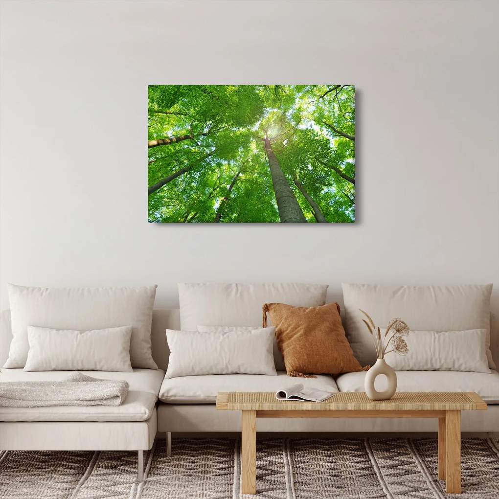 Obraz - Les (90x60 cm)