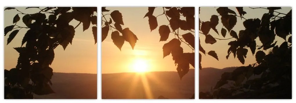 Západ slnka - obraz