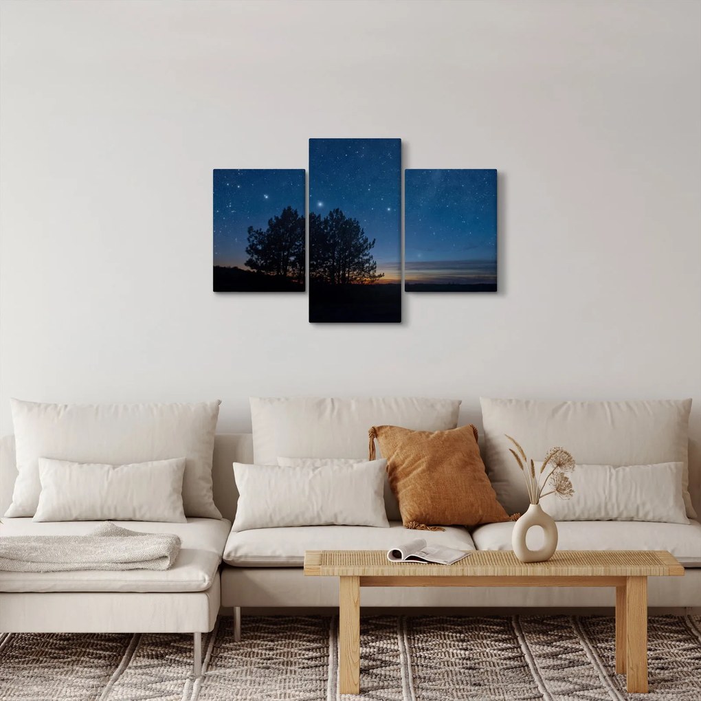 Obraz stromov v noci (90x60 cm)