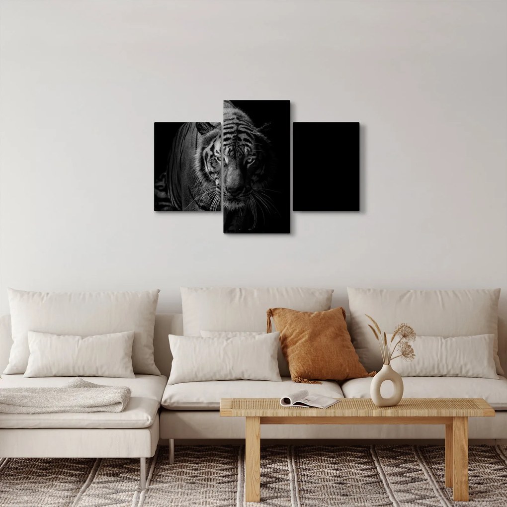 Obraz divokého tigra (90x60 cm)