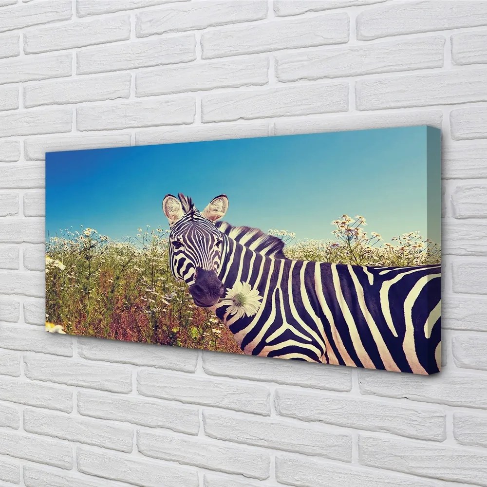 Obraz na plátne zebra kvety 100x50 cm